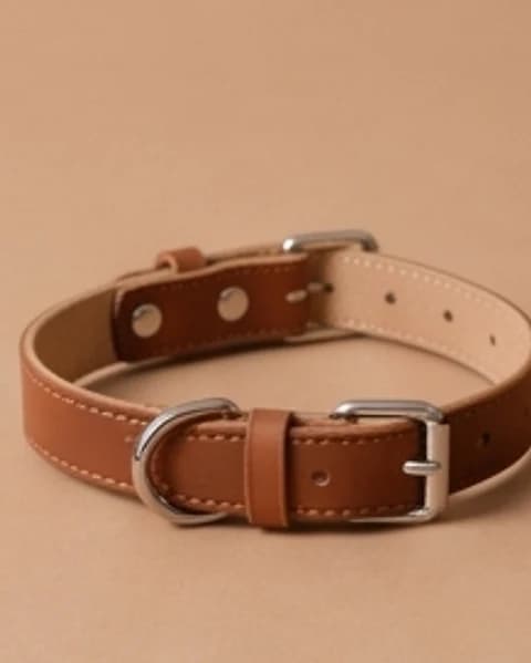 Collar de cuero para perro